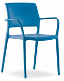 Fauteuil Ara 315